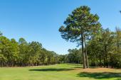 Coronado-Golf-Course-Hot-Springs-Village-Fall-2021-2